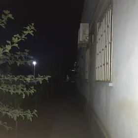 Taze gami 10sotak