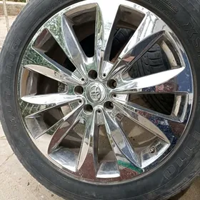 diga 20