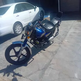 Fekon FK150-8G 2014