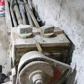 tokor stonok