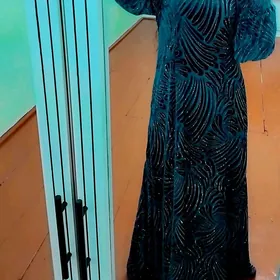 setga pombarx