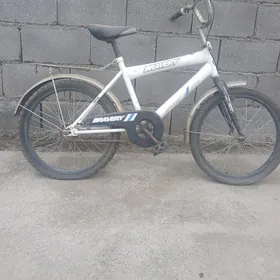 ýigir 20 lik