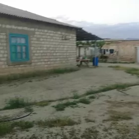 Garrygala
