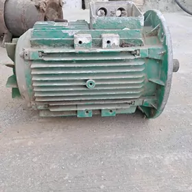 elektromator dwigatel