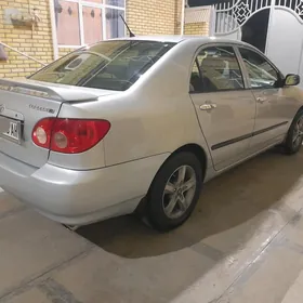 Brazgawik  Carolla  2002. 2007