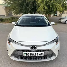 Toyota Corolla 2020