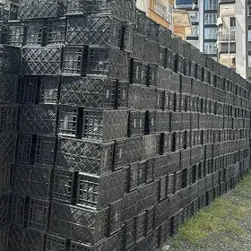 Plasmas yaşik alyarys