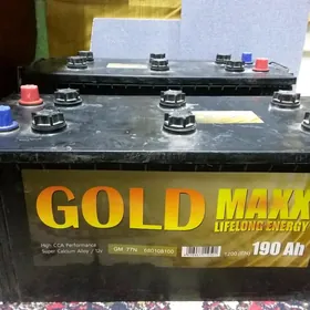 GOLD MAXX lifelong energ190 Ah