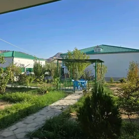 Берекетли заман с Бассейном