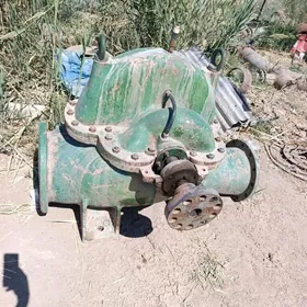 Suw nasos