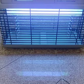 siñek,çywyn öldirýän
