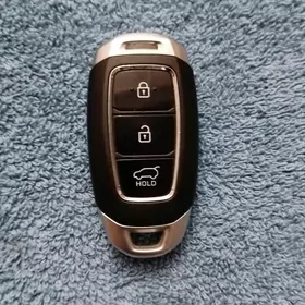 Hyundai santa fe pult