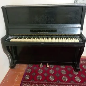 Pionina Belarus