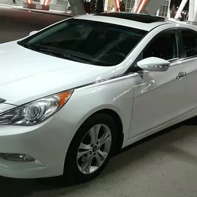 Hyundai Sonata 2010