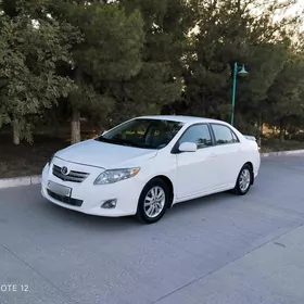 Toyota Corolla 2010