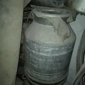 Pilyak