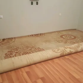 HALY Daroşka TÜRKÜÑKI