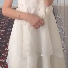 ak koynek