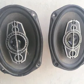 Pioneer Kalonka