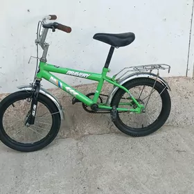 tigir 16lyk