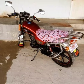 Fekon FK150-8G 2013