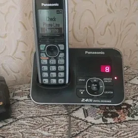 Panasonic