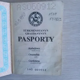 Pasport tapyldy