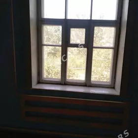 agaç aýnalar