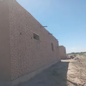 berket dp
