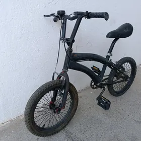 Tigir duga 16