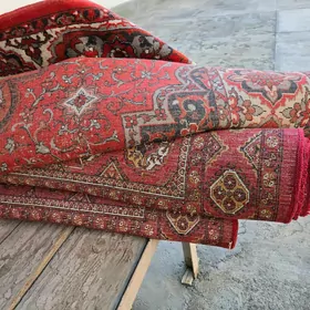 haly daroshka