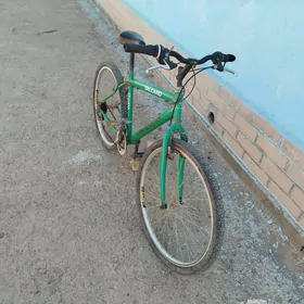 Turkmenistan tigir