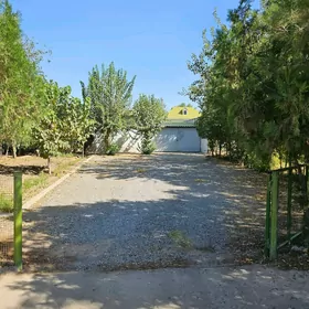 SAGLYK DAÇA