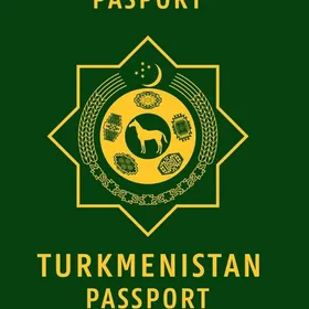Pasport yitdi