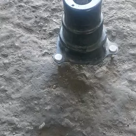 padusga padusga