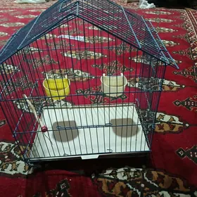 guş ketek