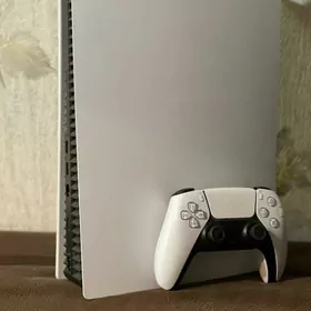 PlayStation 5 fat