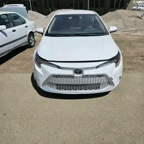 Toyota Corolla 2020
