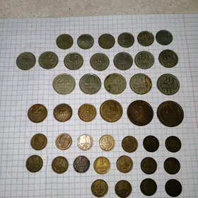 монеты