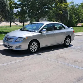 Toyota Corolla 2010