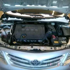 Toyota Corolla 2013