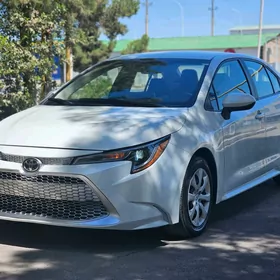 Toyota Corolla 2020