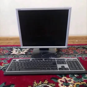 15lik siemens monitor