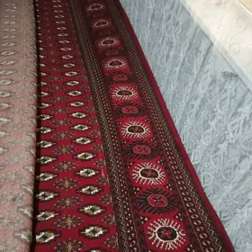 Haly eyran