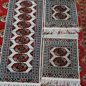 Ak haly karolla