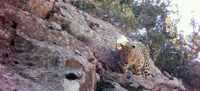 Uly we Kiçi Balkan daglary gorag astyna alnyp, goraghanalar dörediler