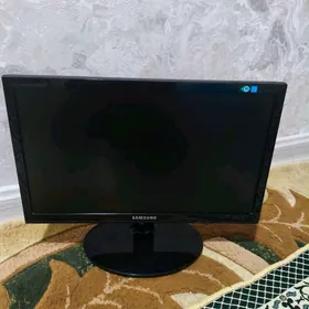 Samsung e1920 Monitor 19 inch