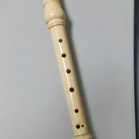 Fleyta