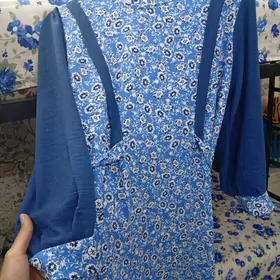 койнек