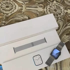 Apple watch 7 stainless steel